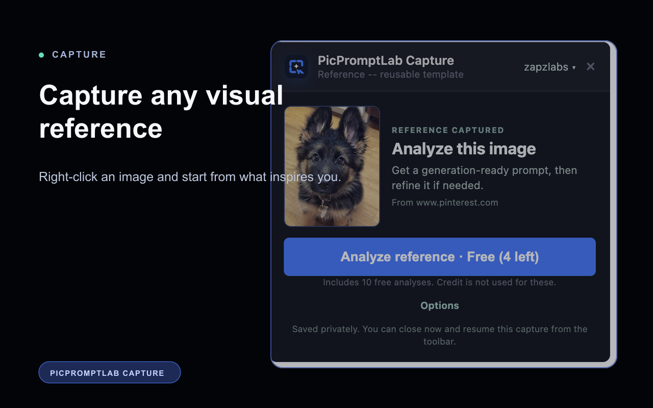 Capture an image from the web